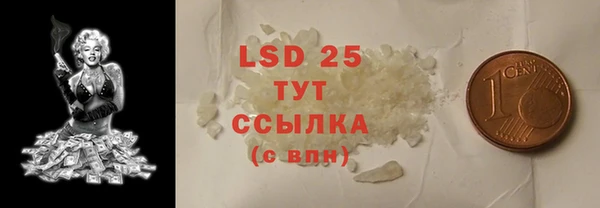 индика Нягань