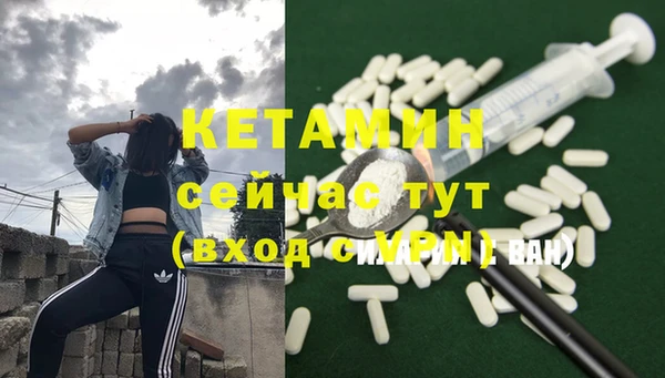 стаф Новодвинск
