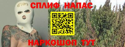 a pvp Гусь-Хрустальный