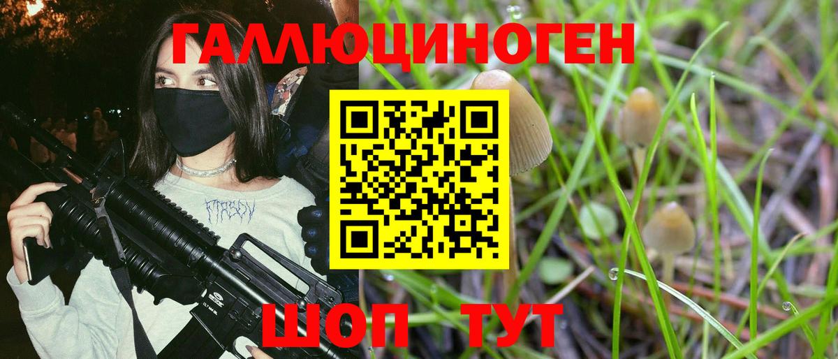 Галлюциногенные грибы Cubensis  Псилоцибиновые грибы MAGIC MUSHROOMS  Мирный 