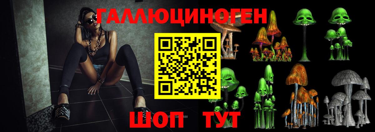 Псилоцибиновые грибы прущие грибы  купить   Вход с VPN  Мирный  Псилоцибиновые грибы прущие грибы 